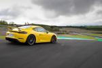 Porsche 718 Cayman GT4 2019 года (WW)